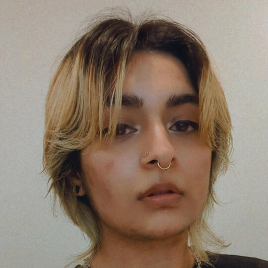 A selfie of Hamnah, a Pakistani person with light brown skin. He has short, brown hair dyed yellow at the bottom. Hamnah has a septum piercing with a gold ring, and black plugs as earrings. She looks at the camera with a neutral expression, mouth slightly
